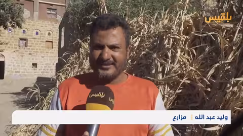 حصاد تعز: مزارعون يواجهون صعوبات الحرب والجفاف