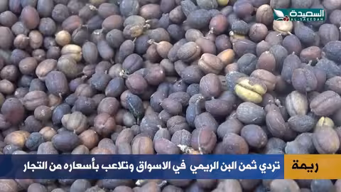 تدهور جودة البن في ريمة... مزارعون يطالبون بالدعم والتوعية