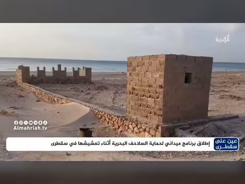إطلاق برنامج لحماية السلاحف البحرية في سقطرى