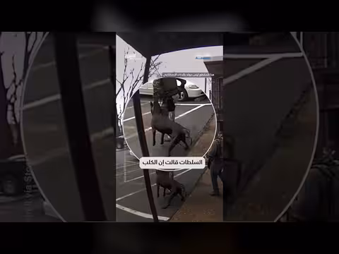 شخصية النظام يركل كلباً أثناء توقيف