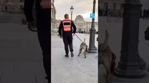 متحف اللوفر يعيد فتح أبوابه بعد حادثة سطو