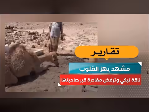 ناقة تبكي على قبر صاحبتها