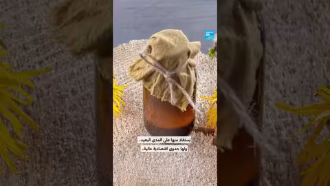 نبتة الطيون: فوائدها الطبية ومهملة في الشرق الأوسط