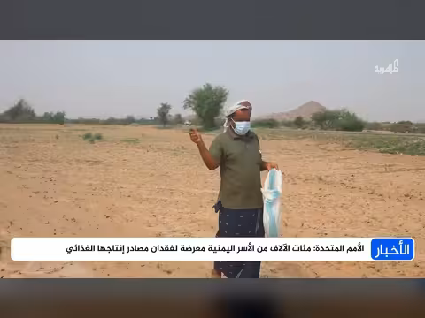 الأمم المتحدة تحذر من فقدان الأسر اليمنية لمصادر غذائية