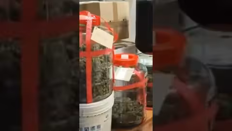 إيطاليا: الشرطة تعتقل 390 وتصادر مخدرات وأسلحة في ضربة للمافيا