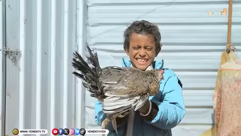 بقعة ضوء: قصص نازحين يمنيين في رمضان