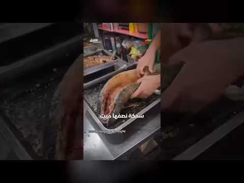 سمكة يين يانغ: نصفها ميت ونصفها حي