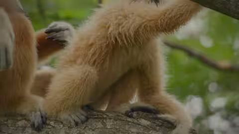 حراس السماء - الحلقة 3