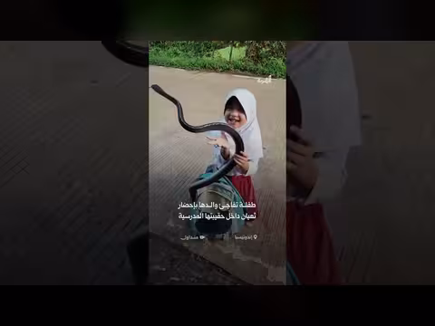 طفلة إندونيسية تحمل ثعبانًا في حقيبتها المدرسية