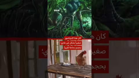 علماء يكتشفون ديناصورًا صغيرًا بحجم دجاجة