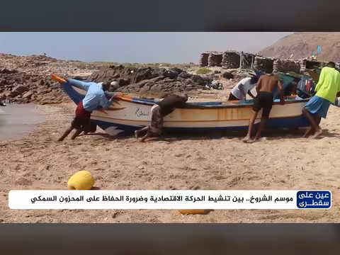 موسم الشروخ فرصة لتحسين دخل الصيادين في سقطرى