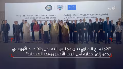 دعوة خليجية أوروبية لحماية أمن البحر الأحمر ووقف الهجمات