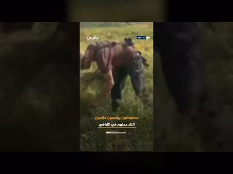 هجوم مستوطنين على مزارعين فلسطينيين