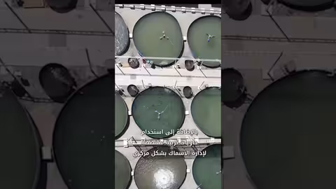 استخدام التكنولوجيا الحديثة لتربية السلمون في تورفان