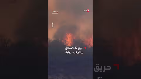 حرائق الغابات تجتاح قرى جبلية شمال ليماسول بقبرص