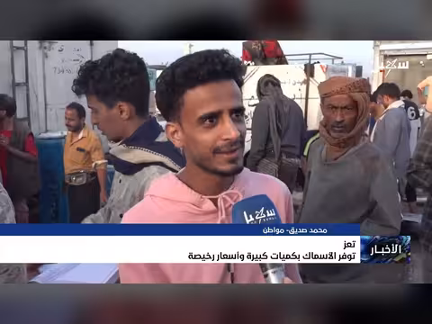 تعز.. وفرة الأسماك بأسعار معقولة