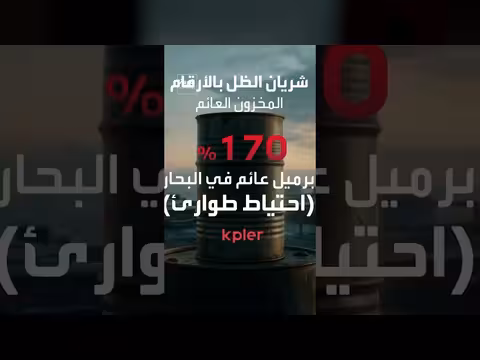 كيفية شراء الصين للنفط الإيراني الرخيص عبر أسطول الظل