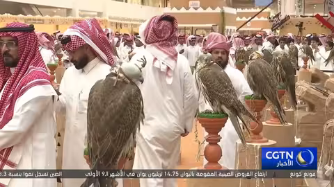 مهرجان الصقور السعودي: الأكبر عالمياً ويعزز اقتصاداً جديداً