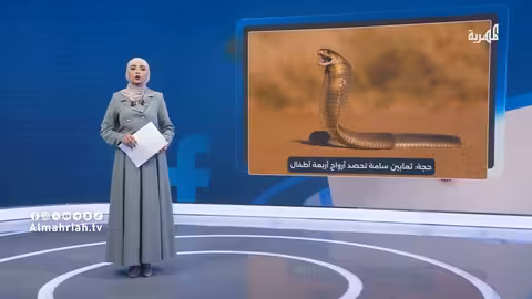 وفاة 4 أطفال في حجة بسبب لدغات الثعابين السامة