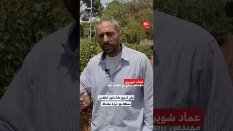 تاريخ زراعة الكرمة في لبنان وظروف إنتاج العنب
