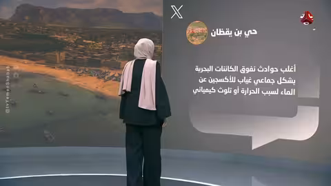 نفوق الروبيان في سقطرى: هل هي ظاهرة طبيعية؟