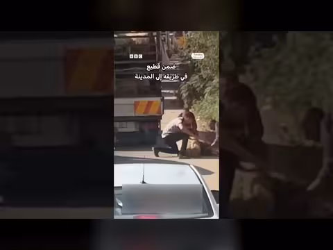 ولادة نعجة مفاجئة على حاجز عسكري في نابلس