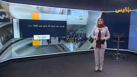 تهريب الحبار وارتفاع أسعاره يهدد السوق اليمنية