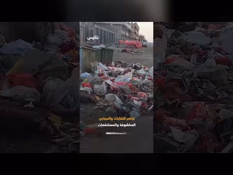 اجتياح غير مسبوق للذباب في الشحر