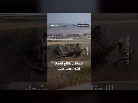 الاحتلال يقتلع أشجار زيتون غرب جنين