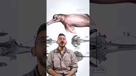 الدلافين الوردية: سر وجودها في المياه العذبة