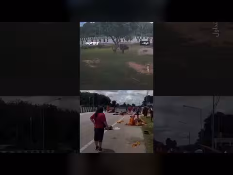 طفل يدهس 30 راهباً بسيارة أبيه في تايلاند