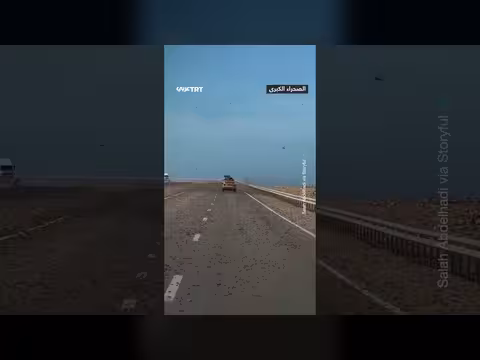 أسراب الجراد تغزو طريقاً سريعاً في الصحراء الكبرى