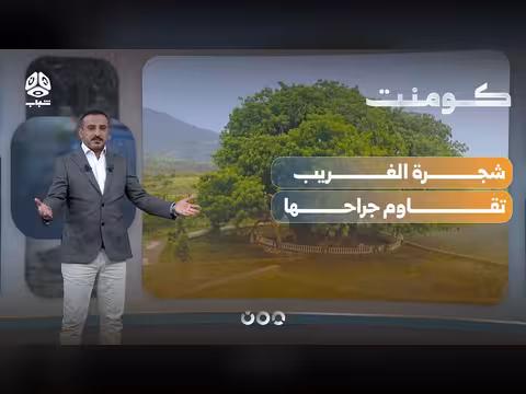 الحياة تدب من جديد في شجرة الغريب اليمنية