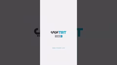 دلافين تسبح حول سفن أسطول الصمود المتجهة إلى غزة