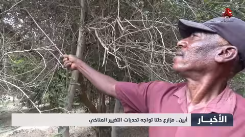 مزارع دلتا أبين تواجه تحديات الجفاف