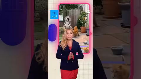 تحقق من مصداقية المحتوى الإعلامي