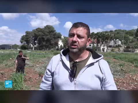 الجيش الإسرائيلي يقتلع أشجار زيتون فلسطينية في الضفة الغربية