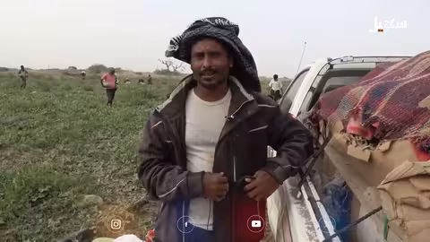 زراعة البطيخ خارج الموسم في أبين: تحدٍ زراعي ناجح