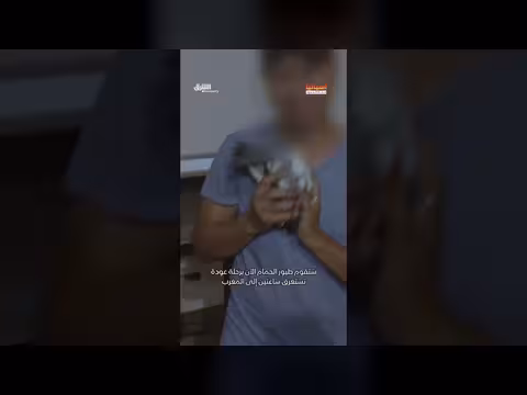 طيور حمام مغربية توقف رحلة رجل في ميناء الجزيرة الخضراء