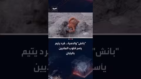 بانش والقرد الدمية: قصة قرد يتيم في اليابان