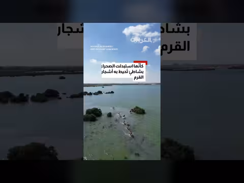 إماراتية توثق مشهدًا غير مألوف للإبل في مياه أم القيوين