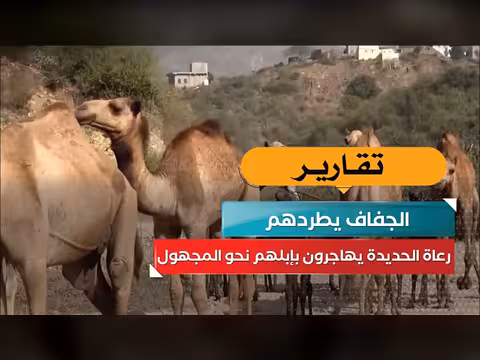 الجفاف يطرد رعاة الحديدة