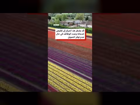 مزرعة زهور التوليب في المملكة المتحدة تجمع تبرعات للأعمال الخيرية