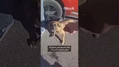 كلب يقود الشرطة لإنقاذ طفل تائه في ميسوري