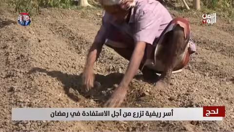 لحج: أسر ريفية تعتمد على الزراعة لتحقيق الاستفادة في رمضان