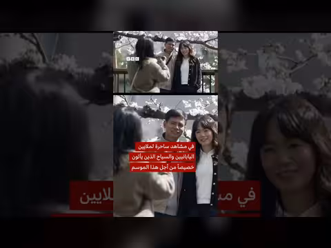 بدء موسم أزهار الكرز في اليابان لهذا العام