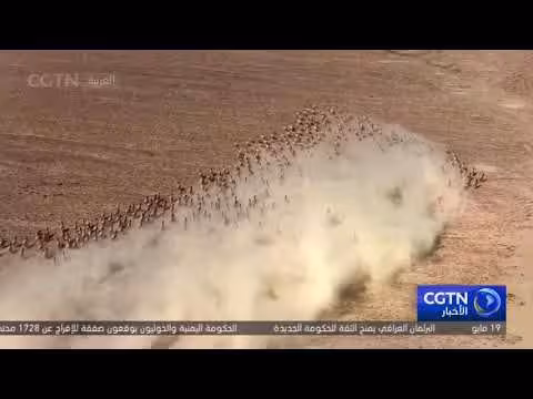 حماية الحيوانات الصحراوية بتكنولوجيا متطورة