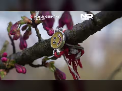 ازدهار أزهار الكرز يجذب الزوار في ميونيخ وشمال إيطاليا