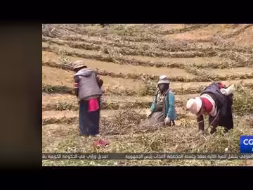 تحسين بيئة روئرغاي الرطبة واكتشاف أنواع جديدة