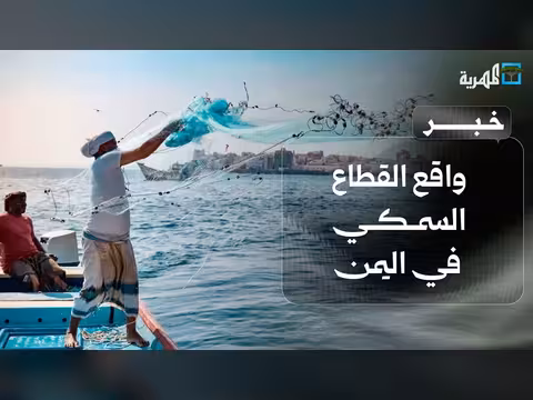 أرقام تكشف واقع القطاع السمكي اليمني